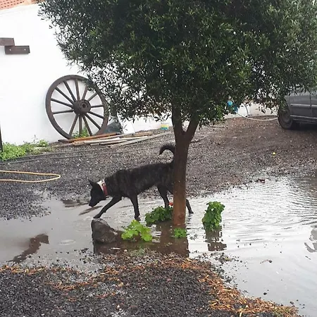 Finca Pichementira Prázdninový dům