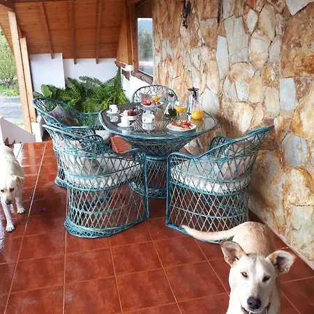 Hébergement de vacances Finca Pichementira